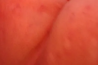 Bbw Pawg - 40 - Image 3